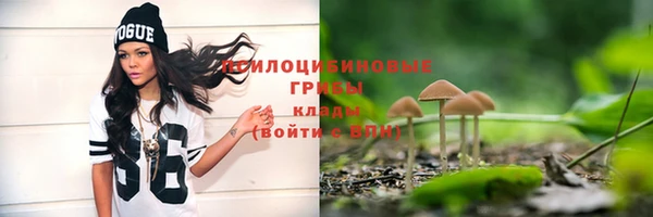 соль ск Абинск