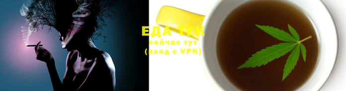 тгк Абаза