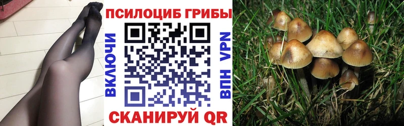 нарко площадка Telegram  наркота  Смоленск  Псилоцибиновые грибы MAGIC MUSHROOMS 